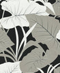 Tropical elephant ear leaves in metallic silver on an ebony black ground.