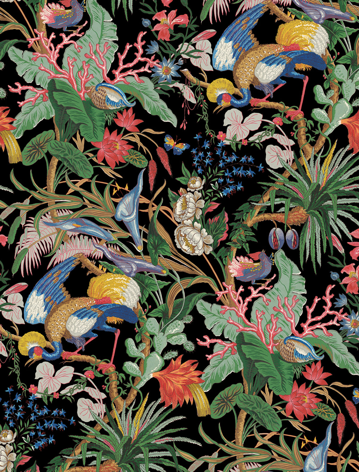 NextWall Tropical Canopy peel and stick wallpaper in Ebony with colorful tropical birds and botanical foliage on a black background.