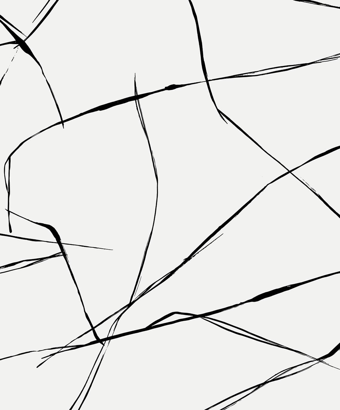 Inkwork Abstract peel and stick wallpaper in ebony and eggshell with fine black ink-like intersecting lines on an off-white ground.
