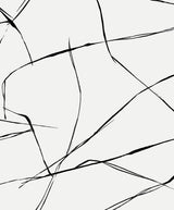Inkwork Abstract peel and stick wallpaper in ebony and eggshell with fine black ink-like intersecting lines on an off-white ground.
