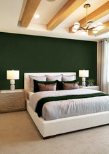 Chevron Stripe Green by NextWall Peel & Stick Peel & Stick Chevron Vinyl Wallpaper – NextWall NW53904