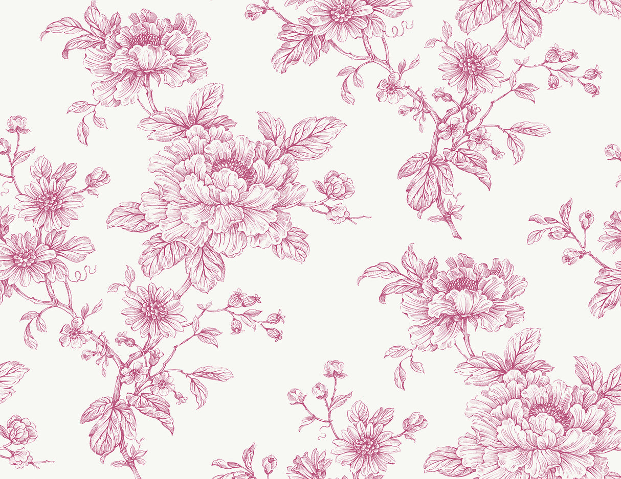 Pink sketched floral peel and stick wallpaper pattern on a light background