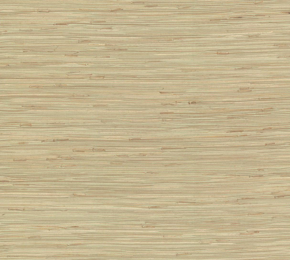 River Grass Green Grasscloth Wallpaper with Woven Natural Texture - York NZ0780