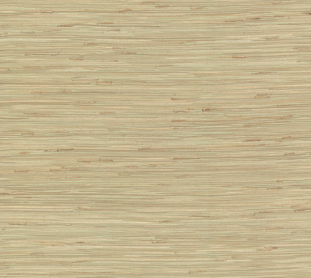 River Grass Green Grasscloth Wallpaper with Woven Natural Texture - York NZ0780