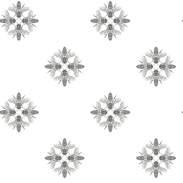 Honey Bee Black & White Wallpaper with Bee Medallion Motif - York ON1643