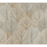 Leaf Concerto Taupe Wallpaper with Botanical Leaf Pattern - York OS4243