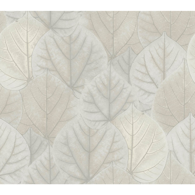 Leaf Concerto Grey Wallpaper with Botanical Leaf Pattern - York OS4246