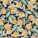 Orange Grove Ink Peel & Stick Wallpaper with Botanical Fruit Motif - Brewster PFS4817