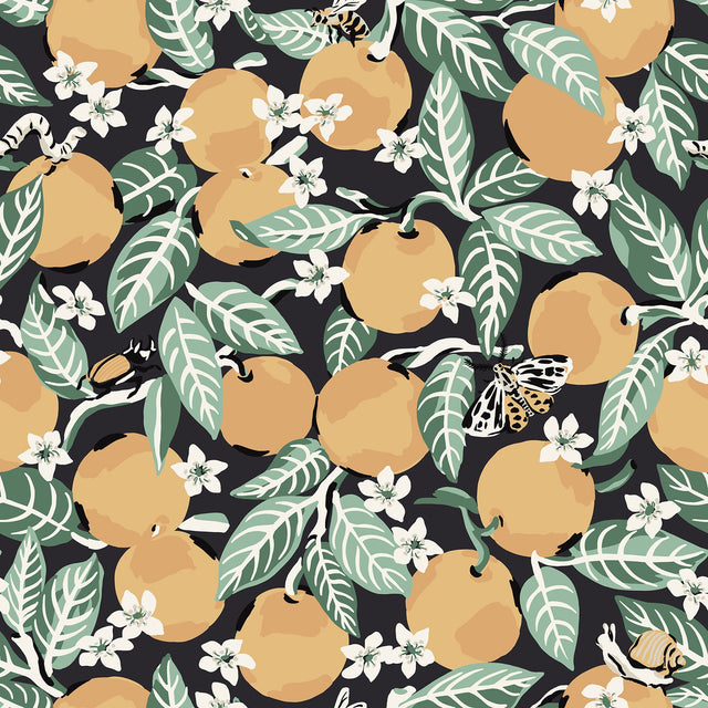 Orange Grove Ink Peel & Stick Wallpaper with Botanical Fruit Motif - Brewster PFS4817