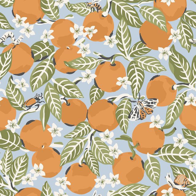 Orange Grove Sky Blue Peel & Stick Wallpaper with Whimsical Botanical Fruit Motif - PFS4818