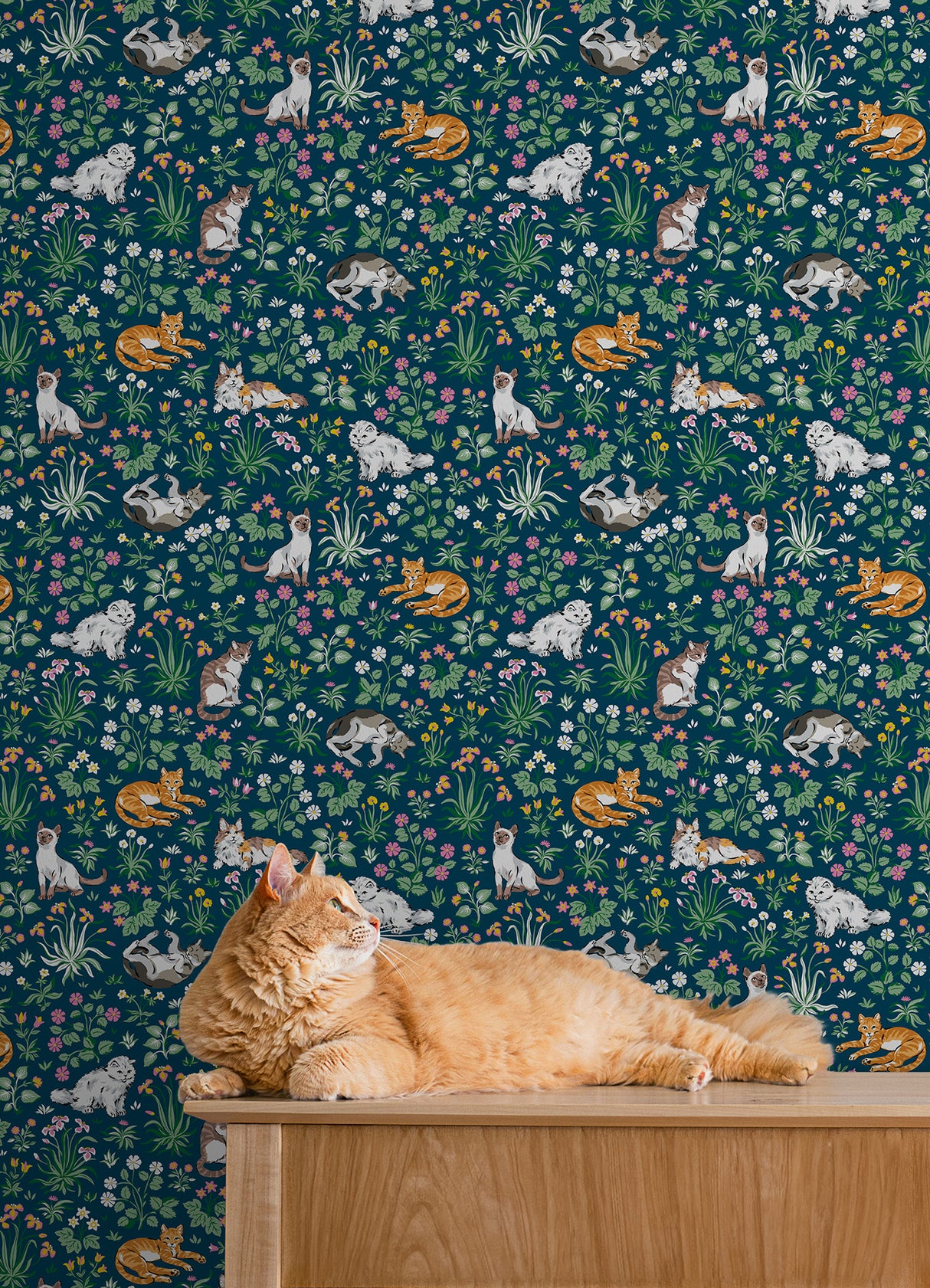 Must Love Cats Indigo by NuWallpaper PrintFresh Whimsical Illustrated Cats and Colorful Botanical Garden Peel and Stick Wallpaper - PFS6566