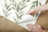 Olive Branch Olive Grove Peel & Stick Wallpaper with Botanical Watercolor Leaf Pattern - York PSW1001RL