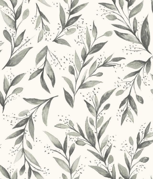 Olive Branch Charcoal Peel & Stick Non Woven Wallpaper with Botanical Olive Motif - York PSW1003RL