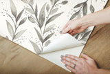 Olive Branch Charcoal Peel & Stick Non Woven Wallpaper with Botanical Olive Motif - York PSW1003RL
