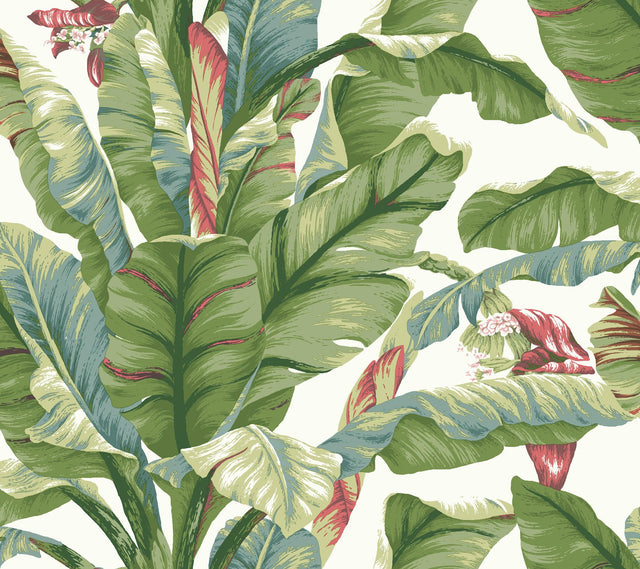 Banana Leaf White & Green Peel & Stick Wallpaper with Botanical Tropical Banana Leaf Pattern - York PSW1034RL