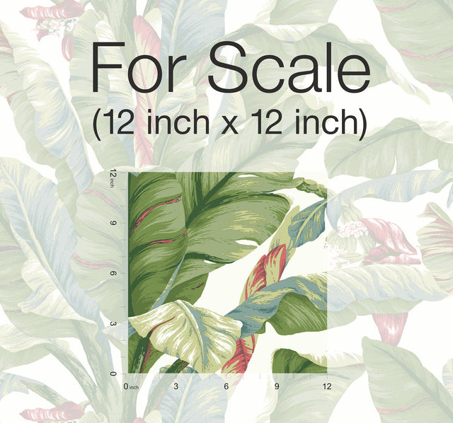 Banana Leaf White & Green Peel & Stick Wallpaper with Botanical Tropical Banana Leaf Pattern - York PSW1034RL