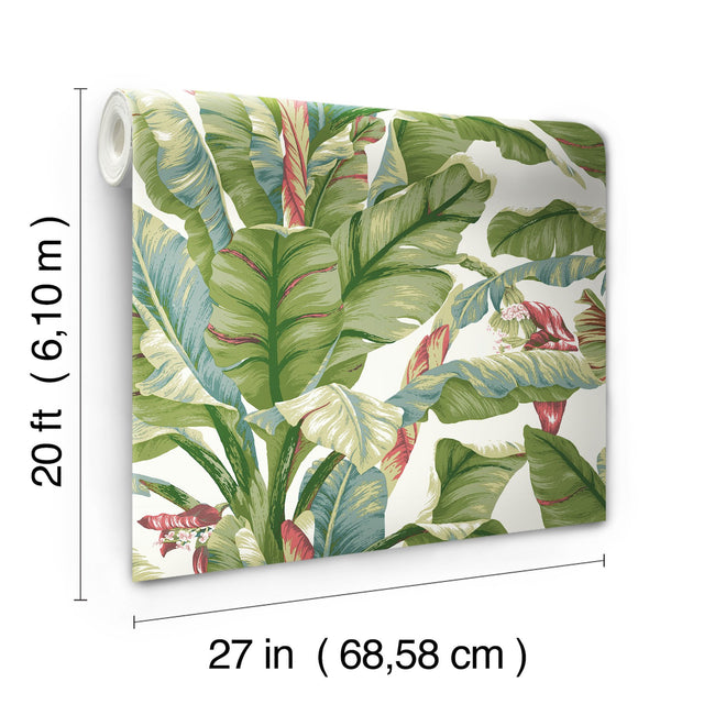 Banana Leaf White & Green Peel & Stick Wallpaper with Botanical Tropical Banana Leaf Pattern - York PSW1034RL