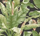 Banana Leaf Black & Green Peel & Stick Wallpaper with Botanical Tropical Motif - York PSW1035RL