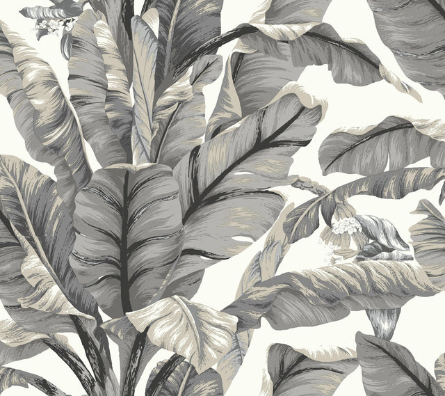 Banana Leaf White & Black Peel & Stick Wallpaper with Botanical Tropical Motif - York PSW1037RL