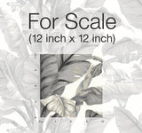 Banana Leaf White & Black Peel & Stick Wallpaper with Botanical Tropical Motif - York PSW1037RL