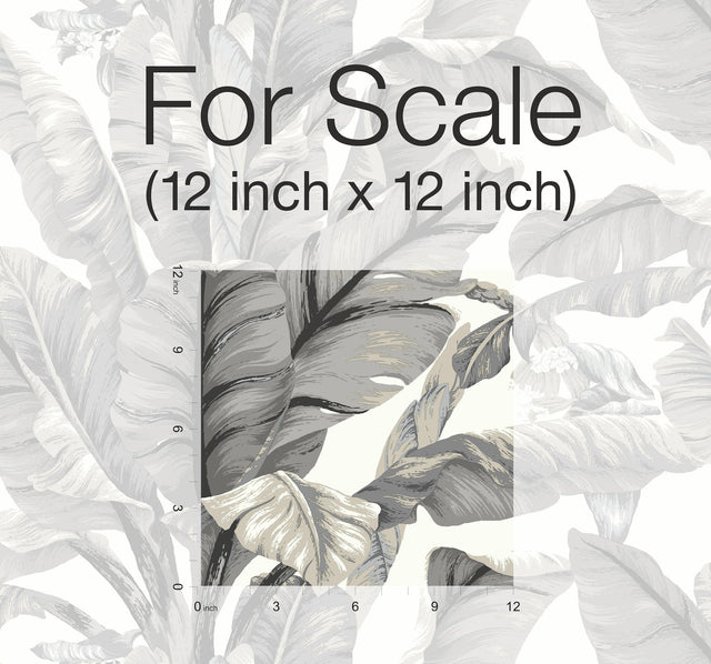 Banana Leaf White & Black Peel & Stick Wallpaper with Botanical Tropical Motif - York PSW1037RL