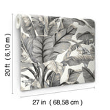 Banana Leaf White & Black Peel & Stick Wallpaper with Botanical Tropical Motif - York PSW1037RL