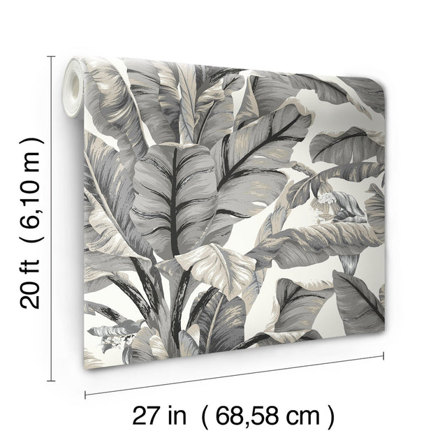 Banana Leaf White & Black Peel & Stick Wallpaper with Botanical Tropical Motif - York PSW1037RL