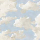 Clouds on Canvas Blue Peel & Stick Wallpaper with Painterly Cloud Motif - York PSW1079RL