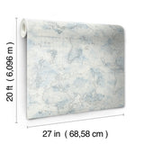Coastal Map Blue & Grey Peel & Stick Wallpaper with Nautical Map Pattern - York PSW1131RL