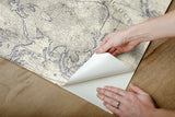 Coastal Map Blue & Beige Peel & Stick Wallpaper with Nautical Map Motif - York PSW1132RL