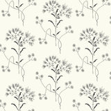 Magnolia Home Wildflower Black & White Peel & Stick Wallpaper with Floral Botanical Pattern - York PSW1153RL