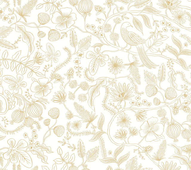 Aviary Off White & Gold Peel & Stick Wallpaper with Botanical Bird Linework - York PSW1309RL