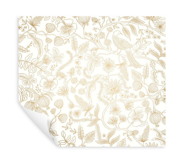 Aviary Off White & Gold Peel & Stick Wallpaper with Botanical Bird Linework - York PSW1309RL