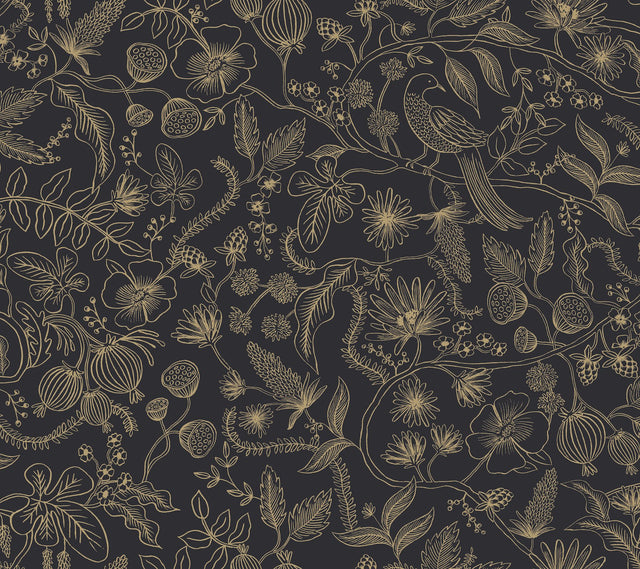 Aviary Black & Gold Peel & Stick Wallpaper with Botanical Bird Linework - York PSW1310RL