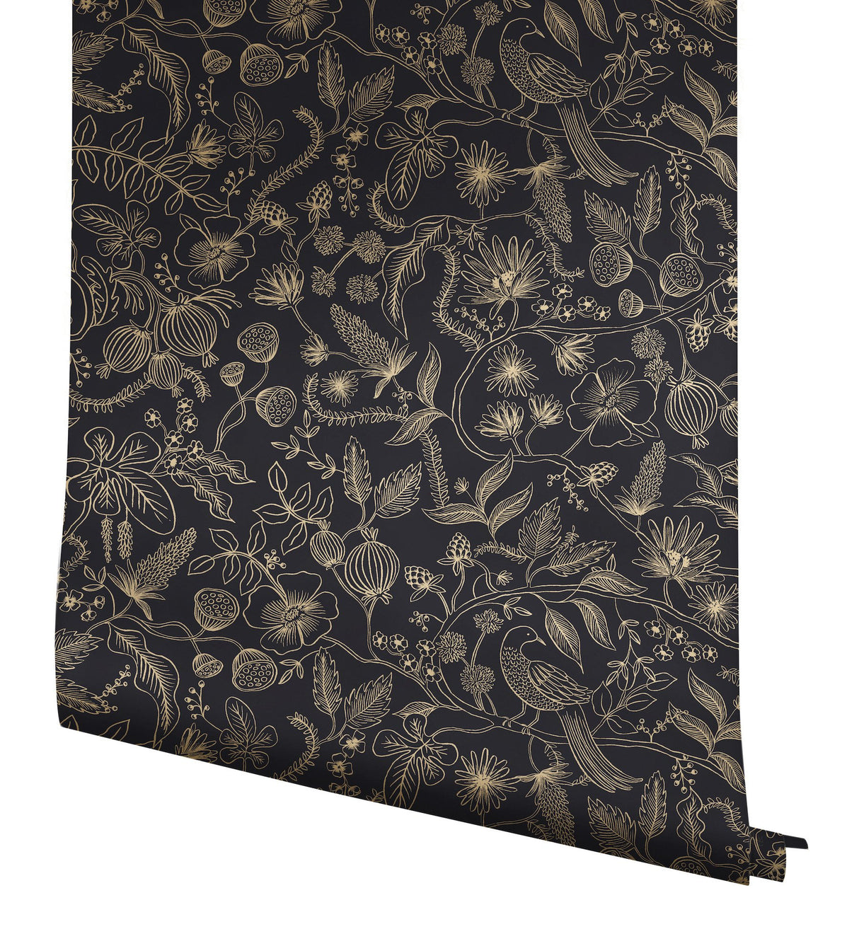 Aviary Black & Gold Peel & Stick Wallpaper with Botanical Bird Linework - York PSW1310RL