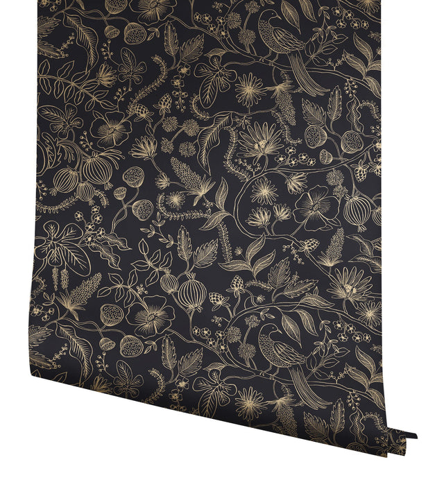 Aviary Black & Gold Peel & Stick Wallpaper with Botanical Bird Linework - York PSW1310RL