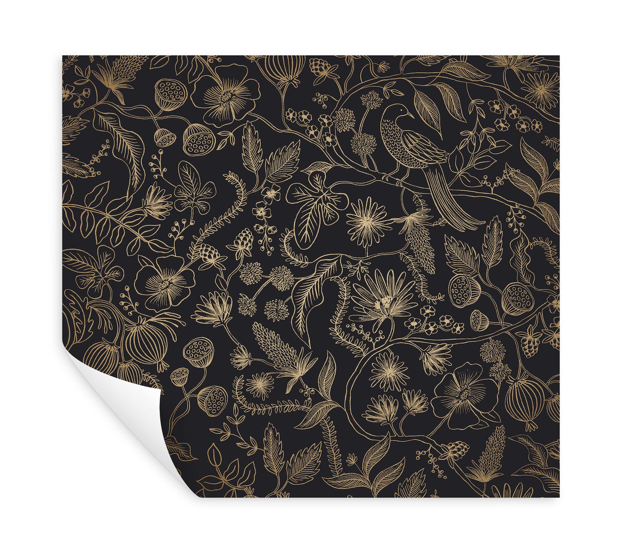 Aviary Black & Gold Peel & Stick Wallpaper with Botanical Bird Linework - York PSW1310RL