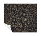 Aviary Black & Gold Peel & Stick Wallpaper with Botanical Bird Linework - York PSW1310RL