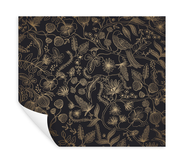 Aviary Black & Gold Peel & Stick Wallpaper with Botanical Bird Linework - York PSW1310RL