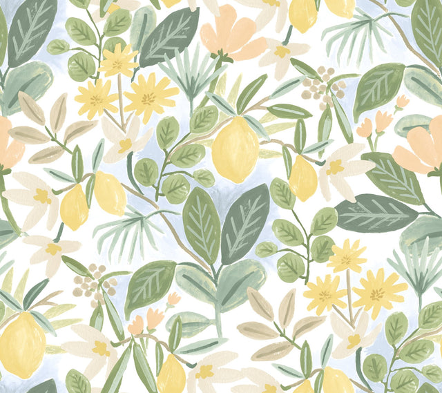Amalfi Pink & Green Peel & Stick Wallpaper with Botanical Lemon Grove Motif - York PSW1319RL