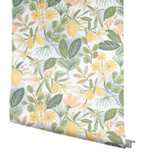 Amalfi Pink & Green Peel & Stick Wallpaper with Botanical Lemon Grove Motif - York PSW1319RL