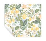 Amalfi Pink & Green Peel & Stick Wallpaper with Botanical Lemon Grove Motif - York PSW1319RL