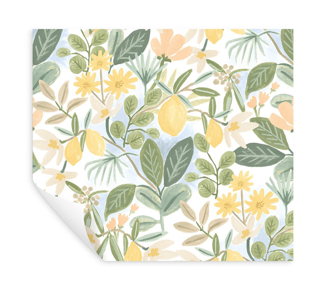 Amalfi Pink & Green Peel & Stick Wallpaper with Botanical Lemon Grove Motif - York PSW1319RL