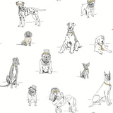 Dog's Life Silver & Gold Peel & Stick Wallpaper with Dogs Sketch Motif - York PSW1339RL