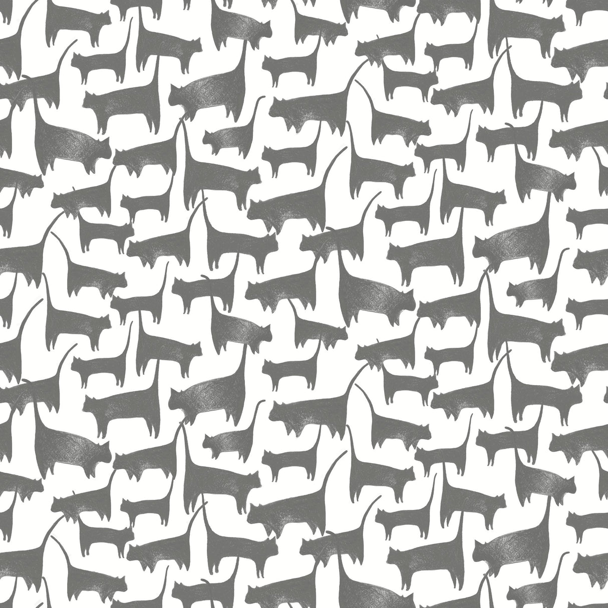 Cat Tails Black Peel & Stick Non Woven Wallpaper with Matte Finish - York PSW1340RL