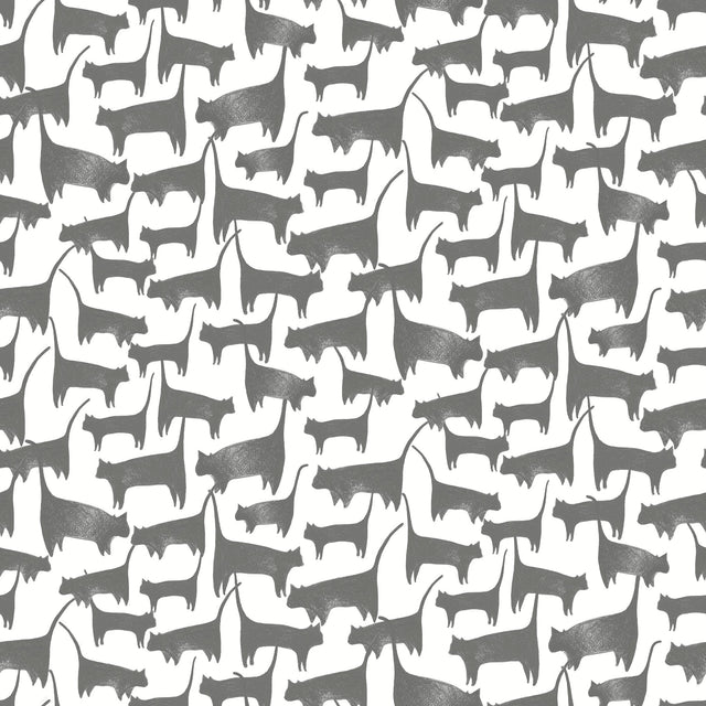 Cat Tails Black Peel & Stick Non Woven Wallpaper with Matte Finish - York PSW1340RL