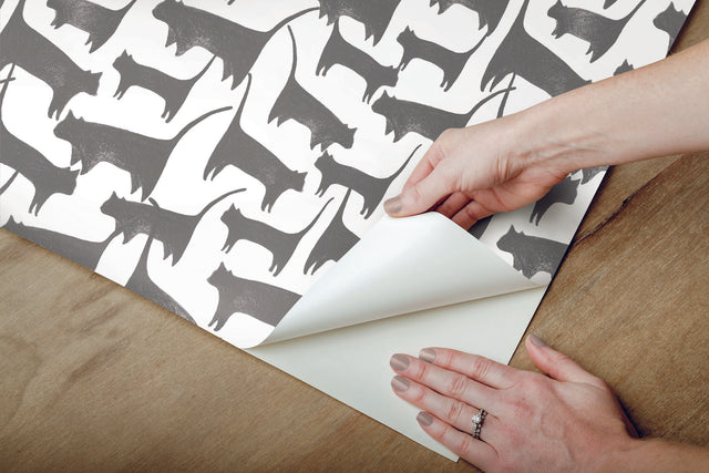 Cat Tails Black Peel & Stick Non Woven Wallpaper with Matte Finish - York PSW1340RL