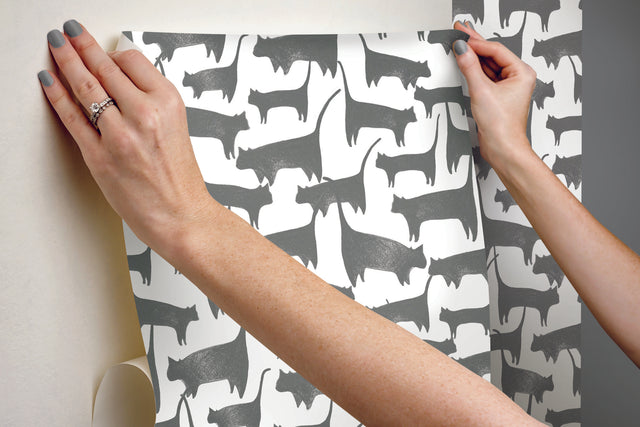 Cat Tails Black Peel & Stick Non Woven Wallpaper with Matte Finish - York PSW1340RL