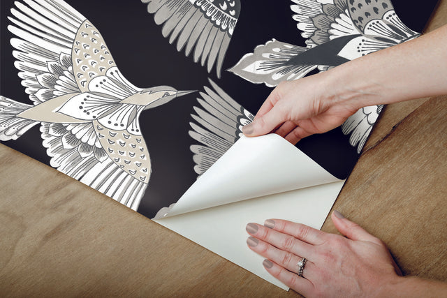 Feather Flight Black Peel & Stick Wallpaper with Animal Bird Motif, Matte Non-Woven  York PSW1351RL