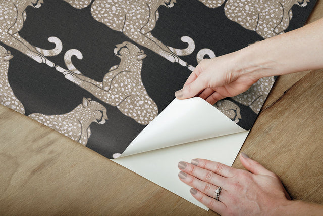 Reclining Cheetahs Black Peel & Stick Wallpaper with Animal Motif - York PSW1355RL